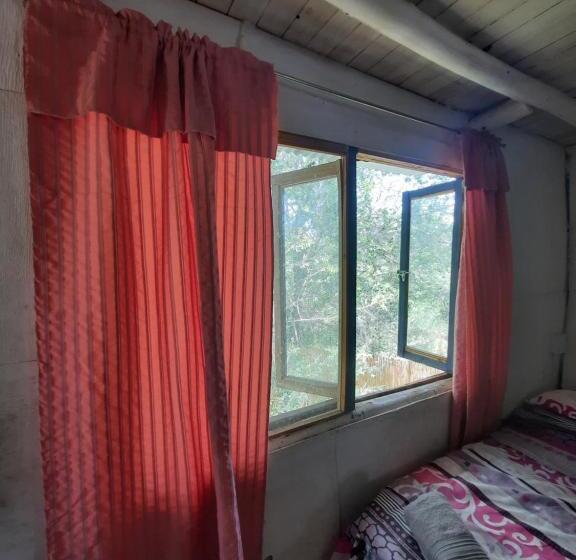 Bed & Breakfast Felix Felicis