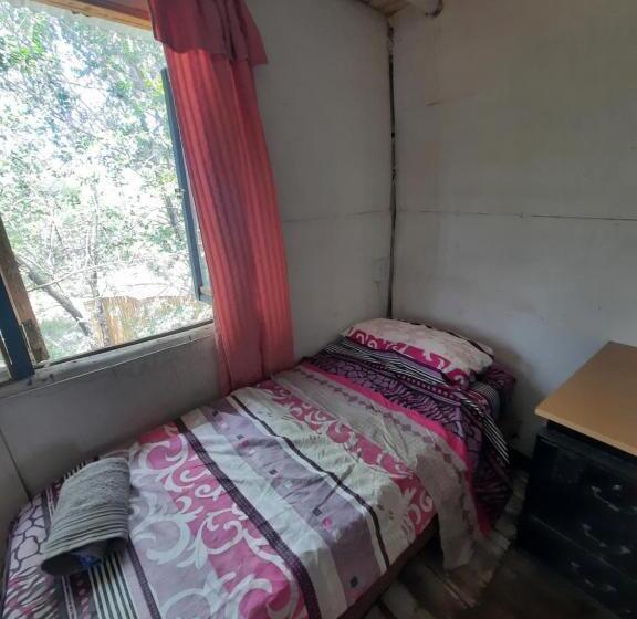 Bed & Breakfast Felix Felicis