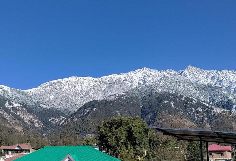 住宿加早餐  Homestay Palampur View