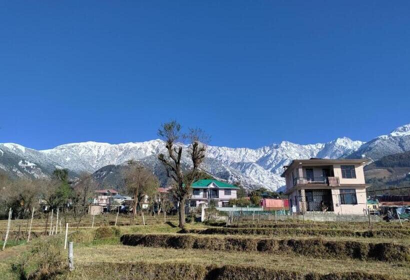 住宿加早餐  Homestay Palampur View