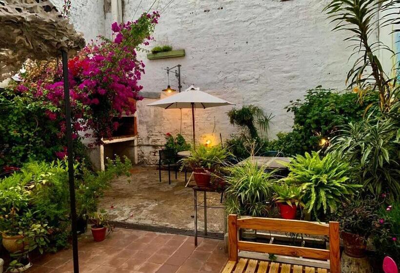 تختخواب و صبحانه Hostel Bohemian