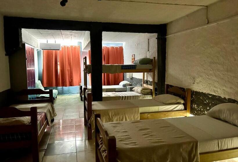تختخواب و صبحانه Hostel Bohemian