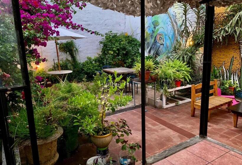 تختخواب و صبحانه Hostel Bohemian