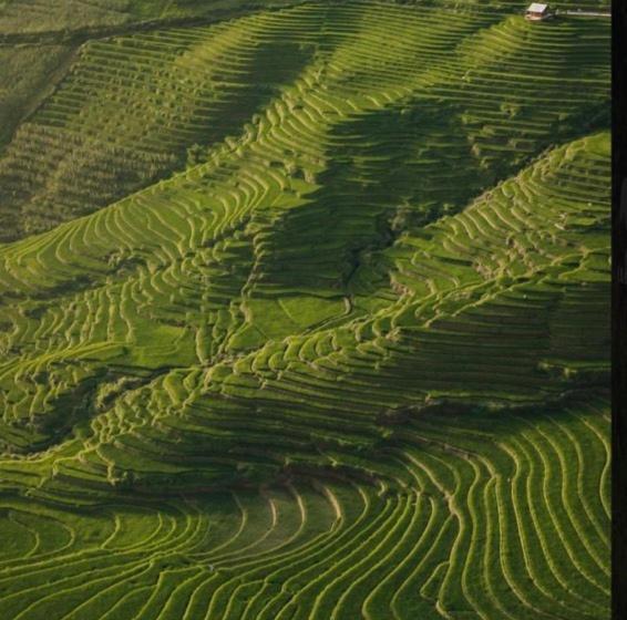 تختخواب و صبحانه Mountain Valley Local Homestay