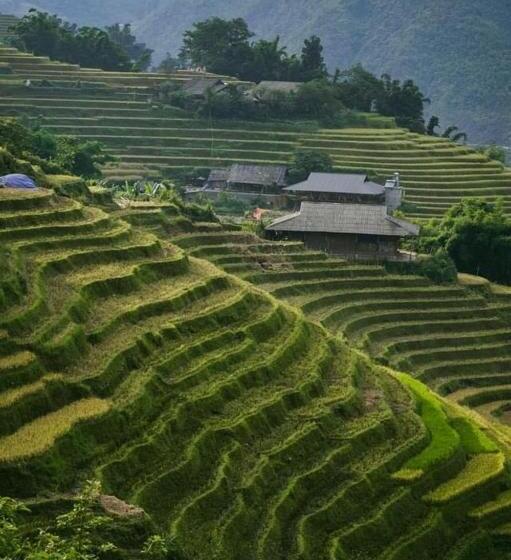 تختخواب و صبحانه Mountain Valley Local Homestay