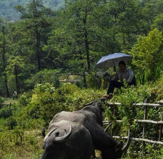 تختخواب و صبحانه Mountain Valley Local Homestay