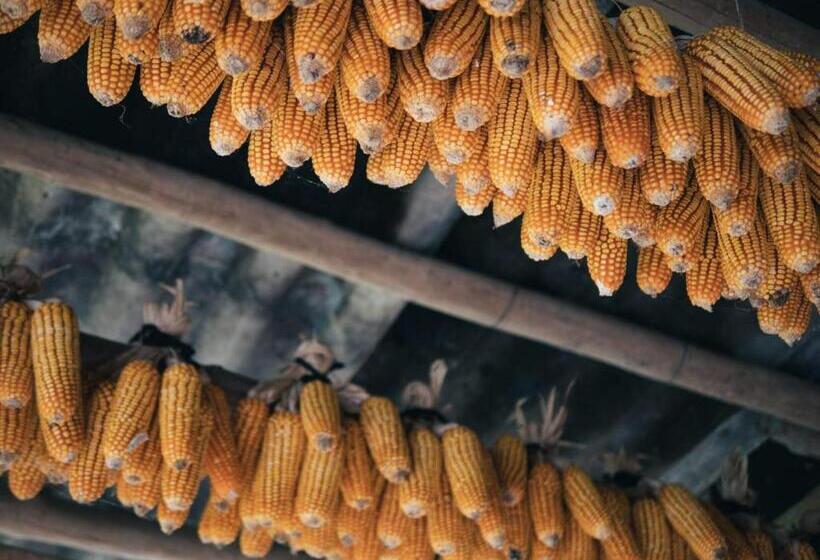 تختخواب و صبحانه Mountain Valley Local Homestay