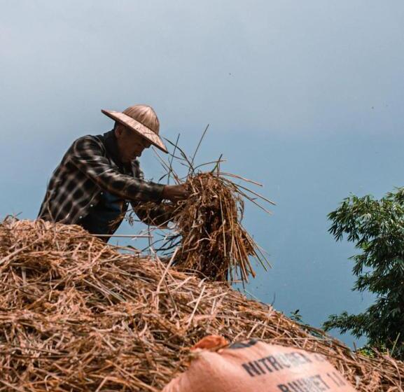 تختخواب و صبحانه Mountain Valley Local Homestay