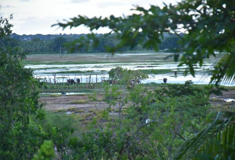 ベッドアンドブレックファースト Rice Cabanas Yala