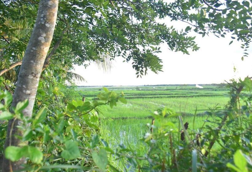 ベッドアンドブレックファースト Rice Cabanas Yala