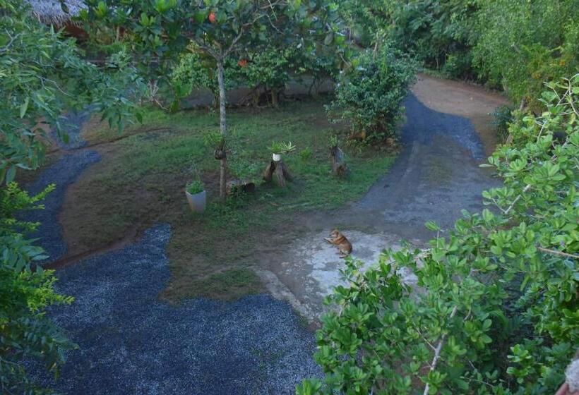 ベッドアンドブレックファースト Rice Cabanas Yala