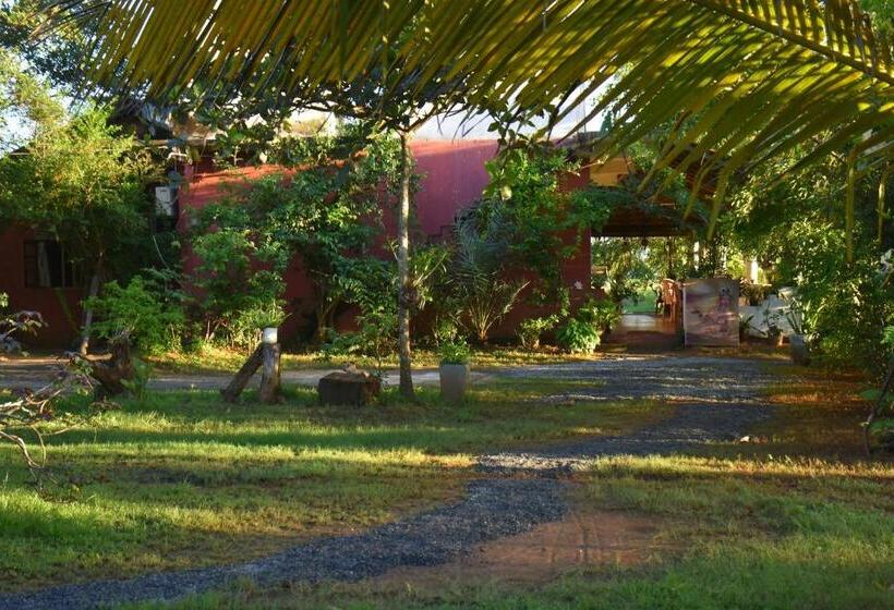 ベッドアンドブレックファースト Rice Cabanas Yala