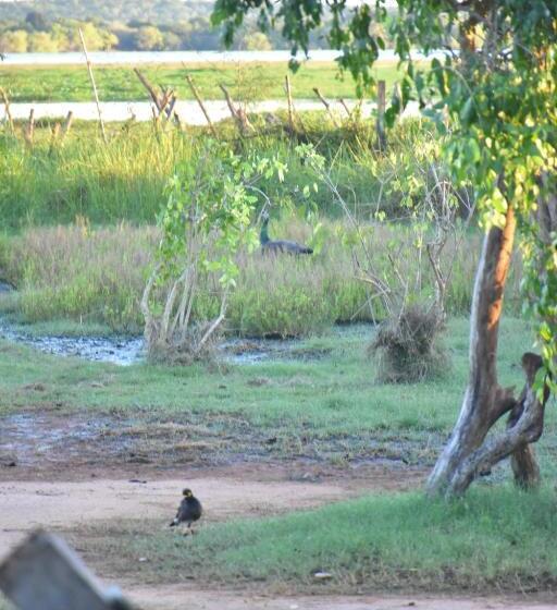 ベッドアンドブレックファースト Rice Cabanas Yala