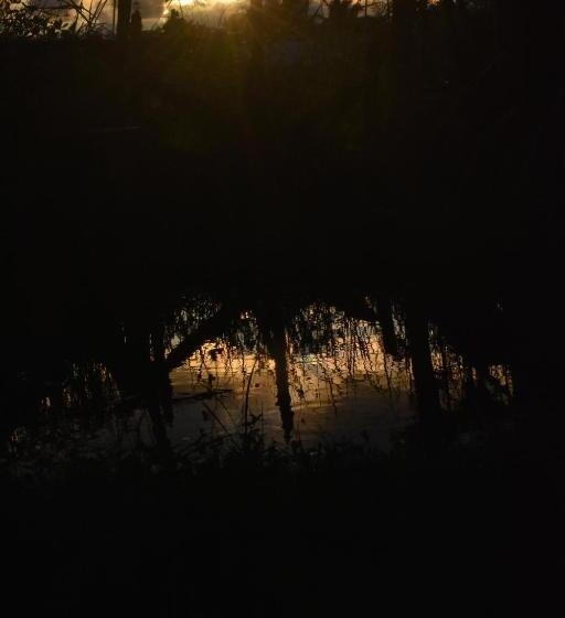 ベッドアンドブレックファースト Rice Cabanas Yala