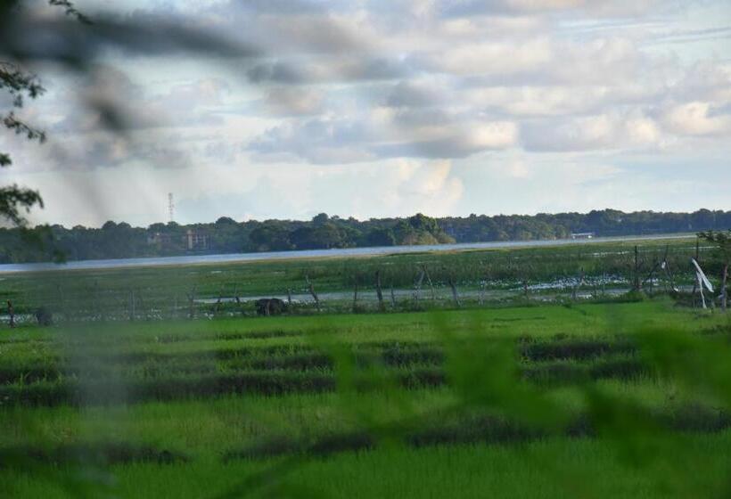 ベッドアンドブレックファースト Rice Cabanas Yala