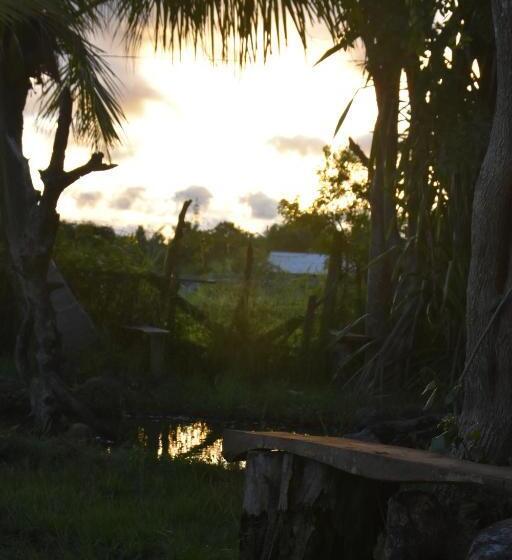 ベッドアンドブレックファースト Rice Cabanas Yala