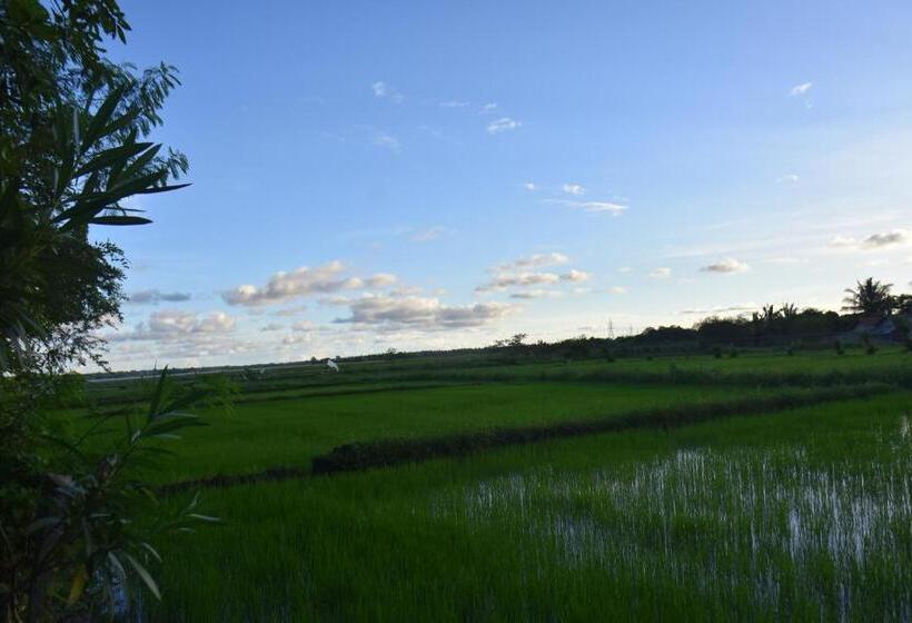 ベッドアンドブレックファースト Rice Cabanas Yala