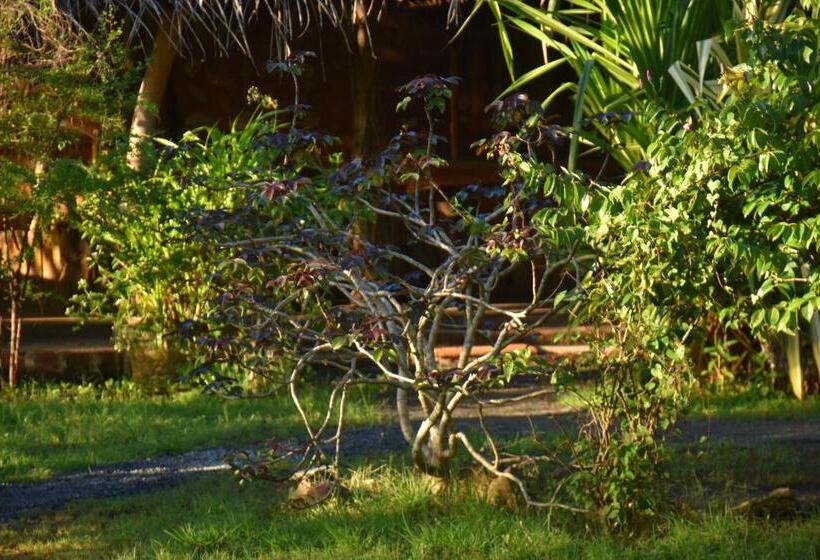 ベッドアンドブレックファースト Rice Cabanas Yala