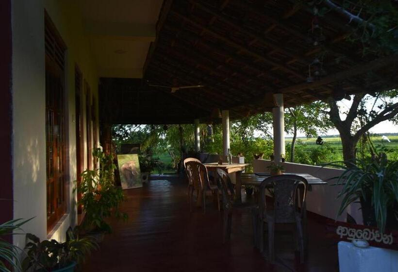 ベッドアンドブレックファースト Rice Cabanas Yala