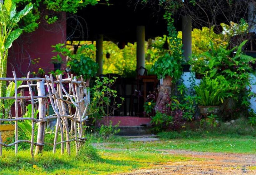 ベッドアンドブレックファースト Rice Cabanas Yala