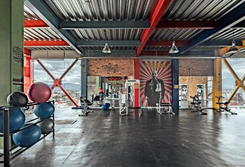 Cama En Habitación Compartida Mixta Hostel