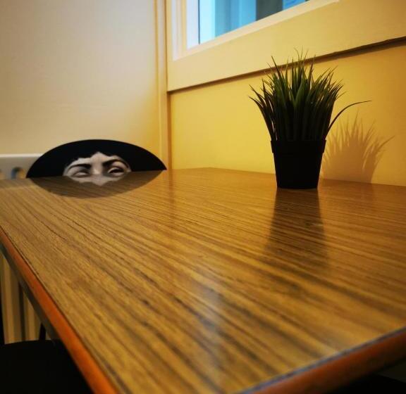 Botanic Avenue Hostel Less Than A Mile From The City Centre