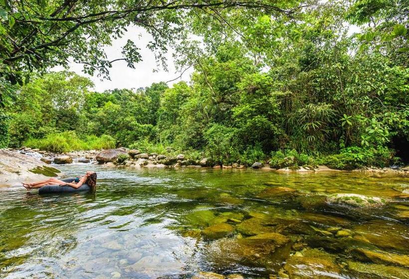 هتل Cedro Amazon Lodge