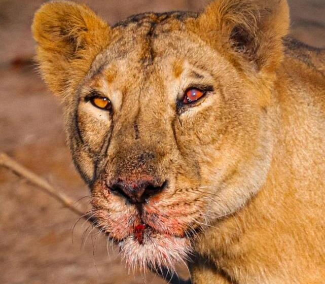 酒店 Greenlife Farm Resort