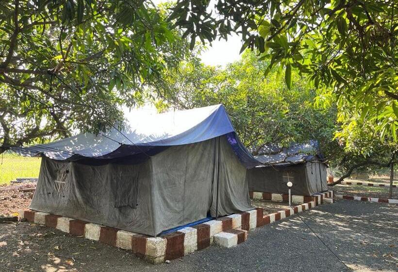 酒店 Greenlife Farm Resort