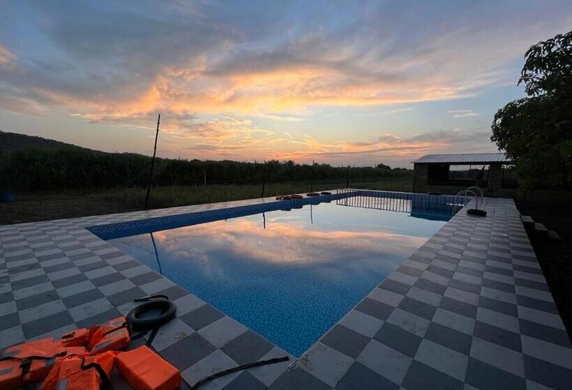 酒店 Greenlife Farm Resort