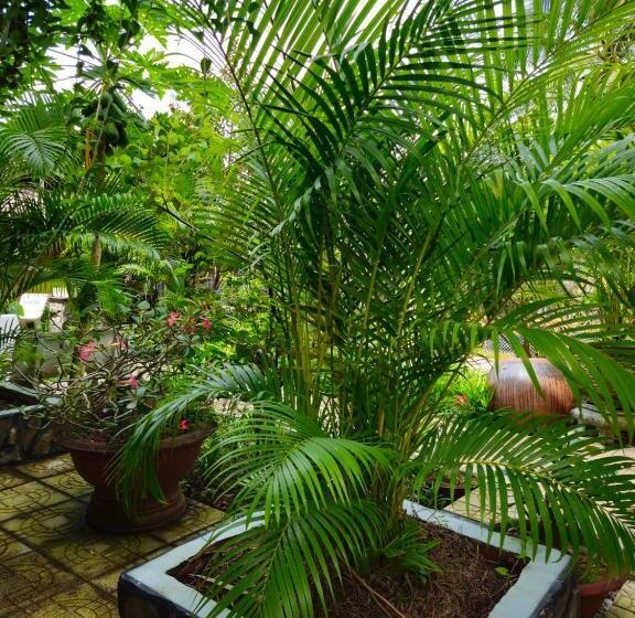 هتل Homestay Bến Tre