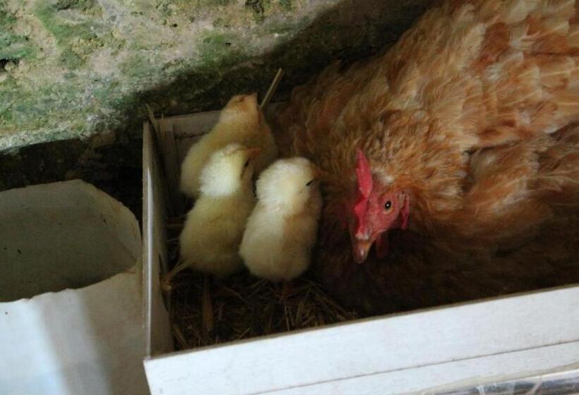 فندق La Valle Delle Rose