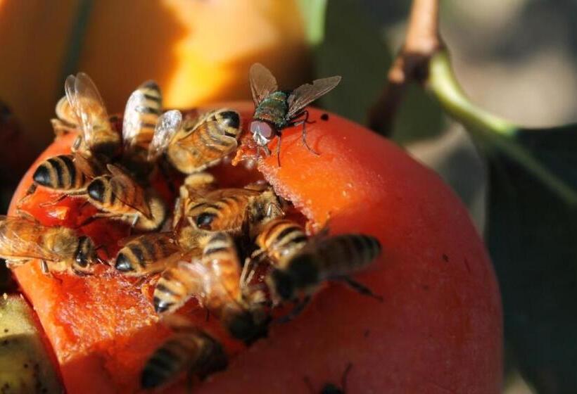 فندق La Valle Delle Rose