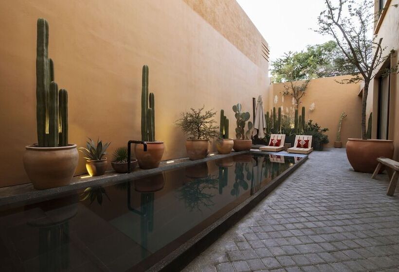 هتل Macondo Arte Oaxaca