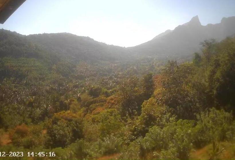 בית מלון כפרי Misty Hills Farm Stay