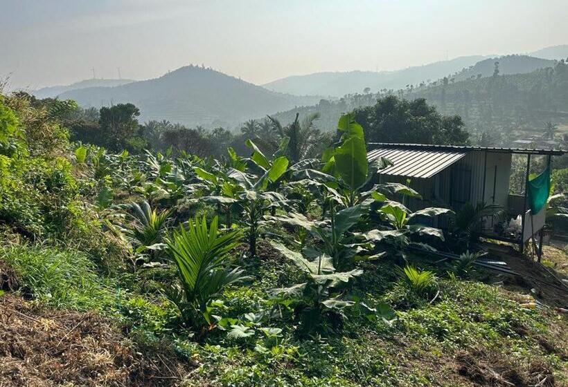 בית מלון כפרי Misty Hills Farm Stay