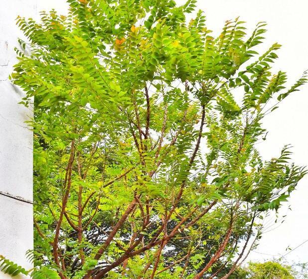 호텔 Revive Inn Pondy   Rooms & Villa