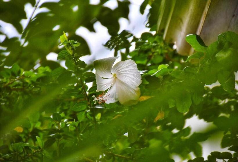 호텔 Revive Inn Pondy   Rooms & Villa