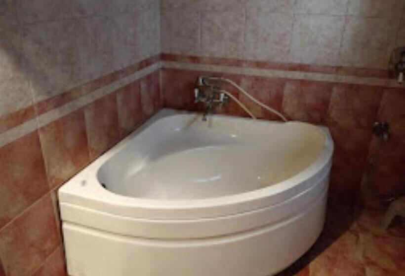 هتل The Himalayan Village Kullu