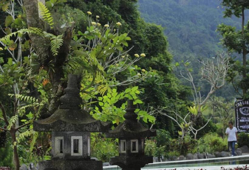 Отель Villa Herzza