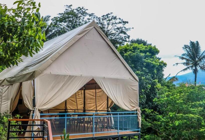 Отель Yocia Dairy Village