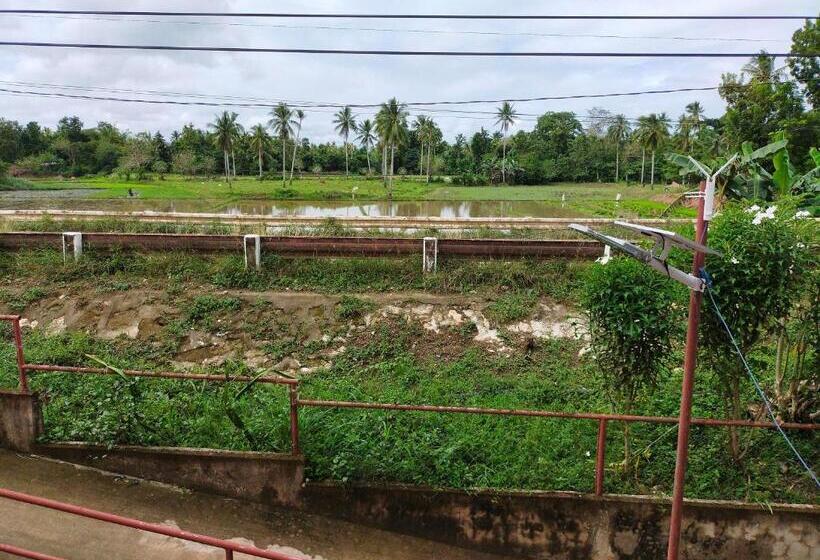 膳宿费 Aunora Superior Room