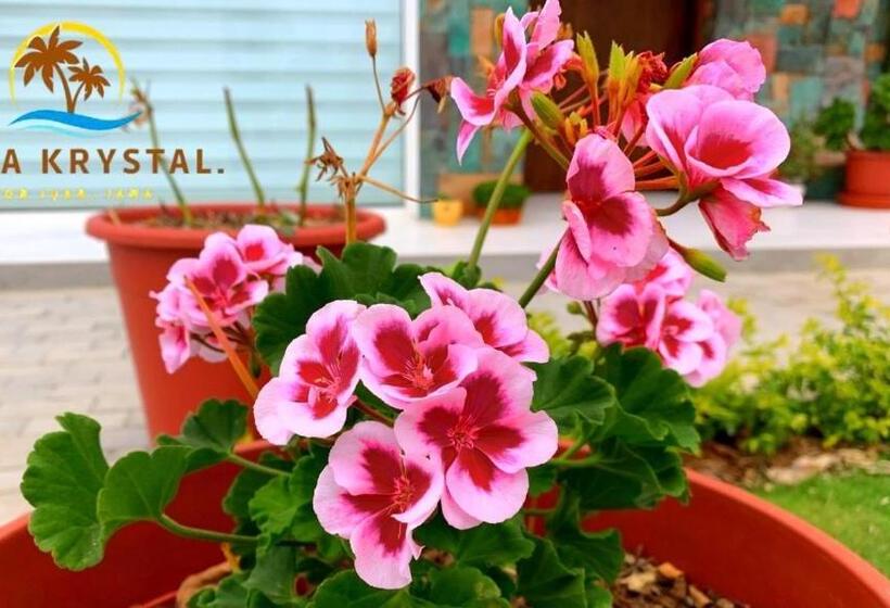 ペンション Casa Krystal