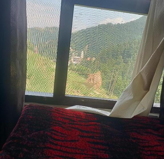 Пансион Green Valley Homestay