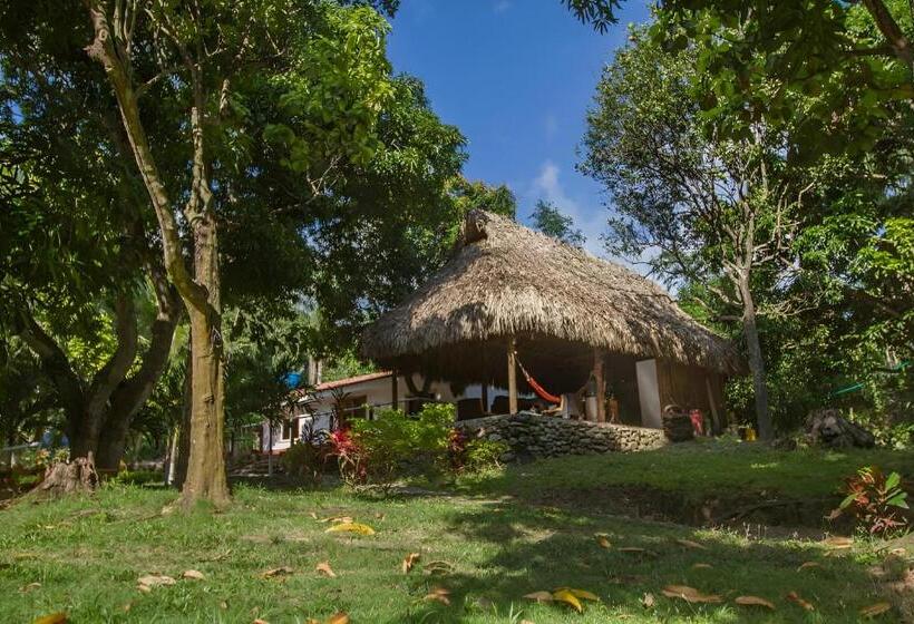 Пансион Santuario Tayrona Hostel