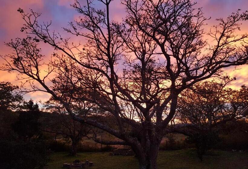 膳宿费 Solitude On Somerset