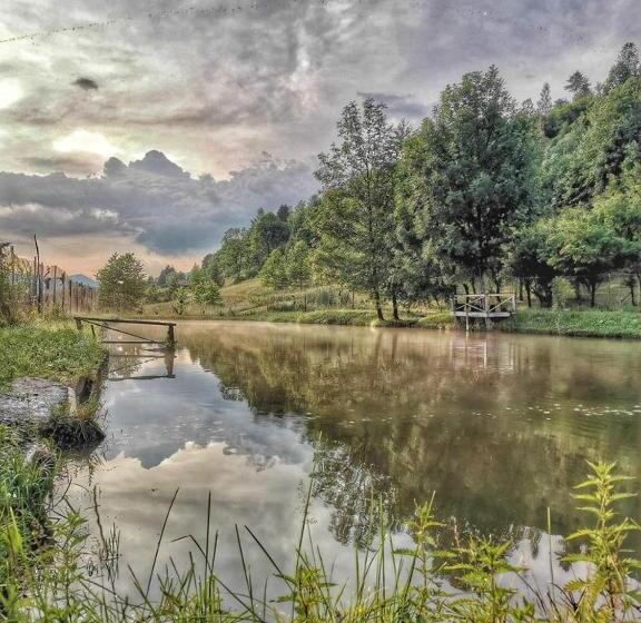 Pensiunea Lacul Arșiței