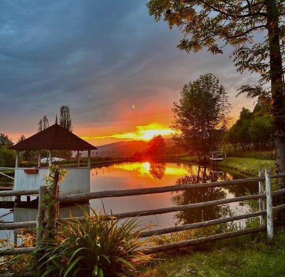 Pensiunea Lacul Arșiței