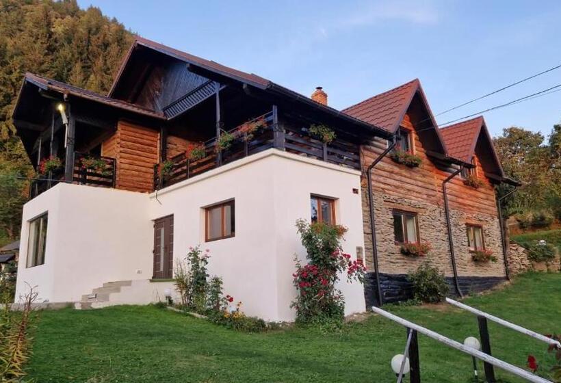 Pensiunea Lacul Arșiței