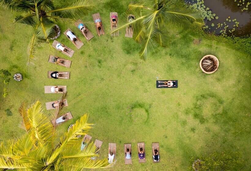 渡假胜地  Nirbana Retreat